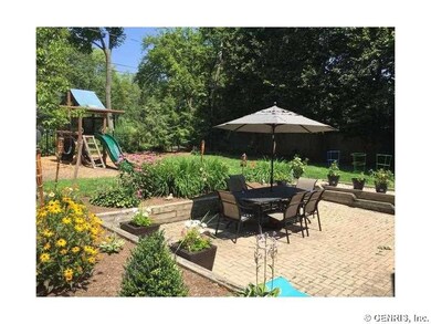 Backyard.