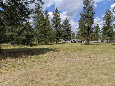 4120 E Brave Rd, Colbert, WA 99005 - photo 7
