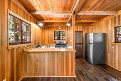 22058 Crestline Rd, Palomar Mountain, CA 92060 - photo 7