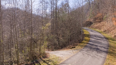 3 Waterdance Dr, Cullowhee, NC 28723 - photo 6