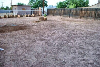 Backyard II