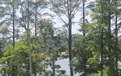Additional View