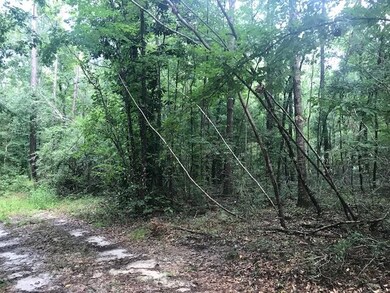 0 Harley Davidson Ln unit 315293, Crawfordville, FL 32327 - photo 4