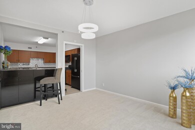 5501 Seminary Rd unit 1904S, Baileys Crossroads, VA 22041 - photo 5