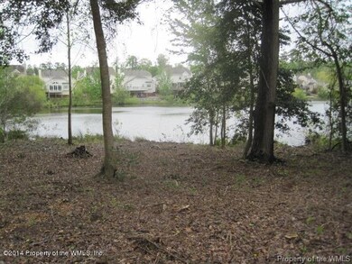 back lake view carriage way