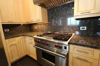 Wolf gas stove and oven