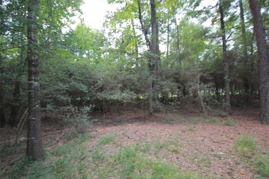 3 Deer Lodge Rd, Magnolia, TX 77354 - photo 6