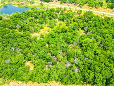 Lot 32 Grison Cir, Corsicana, TX 75109 - photo 4