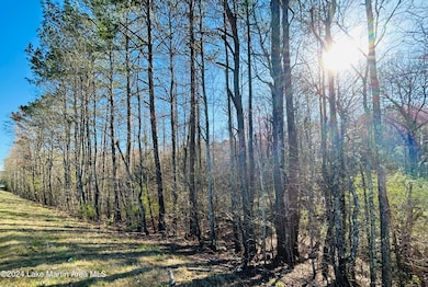 2.64+/- Acres Hwy 280, Sylacauga, AL 35150 - photo 4