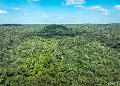 0 Highway B 51 unit MAR24075681, Ellington, MO 63638 - photo 3