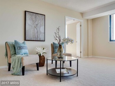 5501 Seminary Rd unit 2508S, Baileys Crossroads, VA 22041 - photo 5