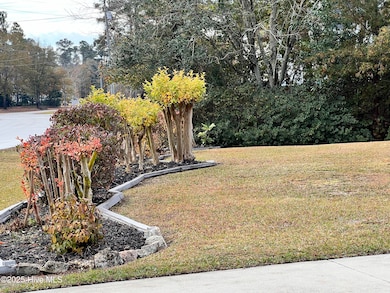 5917 Dekker Rd, Castle Hayne, NC 28429 - photo 6