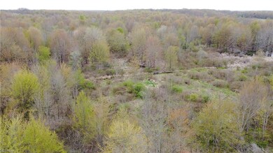 Property looking south from Hatches Corners Rd