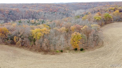 Tract 6 Polston Ln, Hickory Grove Township, MO 63357 - photo 3