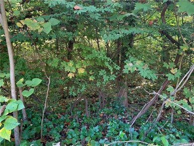 Lot 5 Brookwood Ct unit 5, Statesville, NC 28677 - photo 3