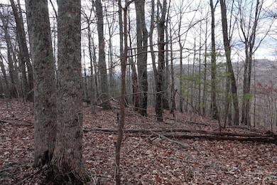 79 Longview Trail, Bostic, NC 28018 - photo 2