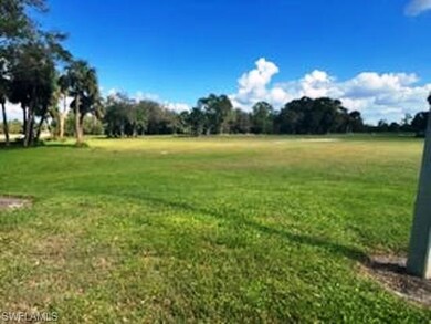 View of THE LOT