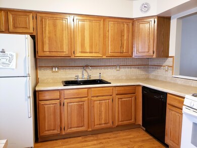 19 Haverford Kitchen