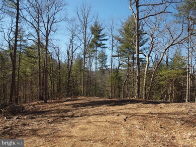 0 Reddish Knob Rd unit PARCEL 3 WVPT101148, Sugar Grove, WV 26802 - photo 4