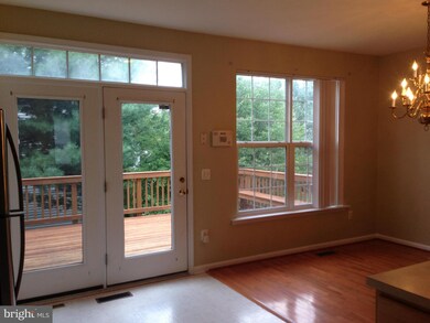 21480 Rusty Blackhaw Square, Sterling, VA 20164 - photo 6