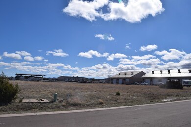 1361 E Lumbermans Loop, Show Low, AZ 85901 - photo 4