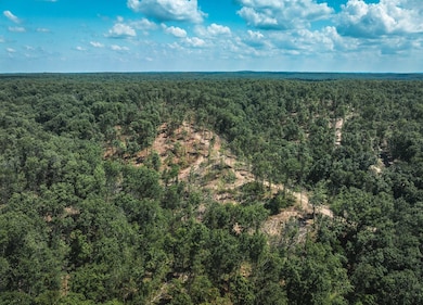 0 Highway B unit 11555602, Ellington, MO 63638 - photo 5