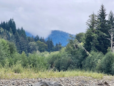 0 Dowan Creek Rd unit 24767132, Forks, WA 98331 - photo 5