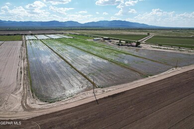 38348 State Highway 20, Fort Hancock, TX 79839 - photo 6
