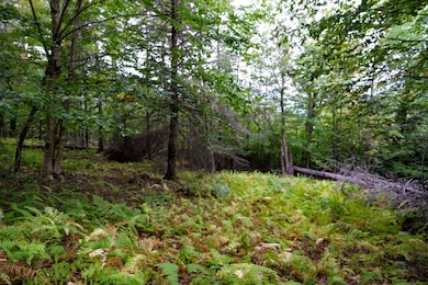 00 Evergreen Acres, Ludlow, VT 05149 - photo 7
