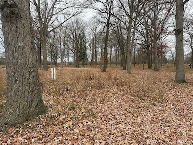 3073 W Dayton St, Flint, MI 48504 - photo 7