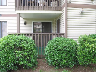 Back Porch