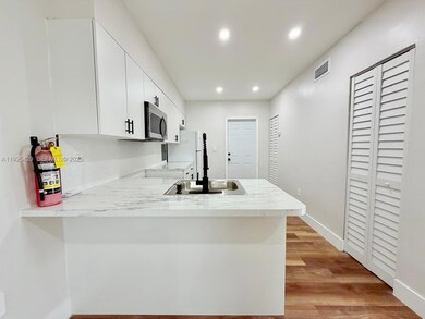 4801 NW 33rd Ave unit 1, Miami, FL 33142 - photo 6