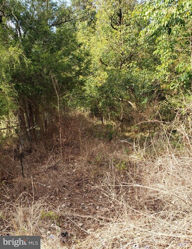 0 Egypt Rd unit WVJF139822, Kearneysville, WV 25430 - photo 3