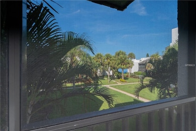 View from Lanai