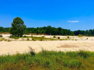 Tbn Bunkley Rd, Meadville, MS 39653 - photo 2