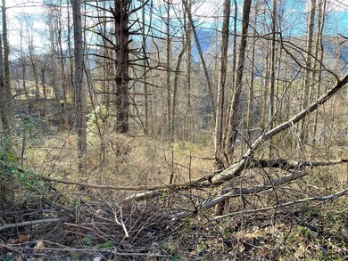 Hampton View Dr