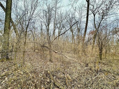 0.22 acres Sunfish Dr, Trempealeau, WI 54661 - photo 3