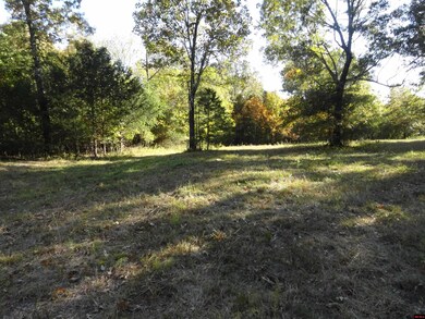 001-02053-004 Hand Cove Rd, Elizabeth, AR 72531 - photo 5