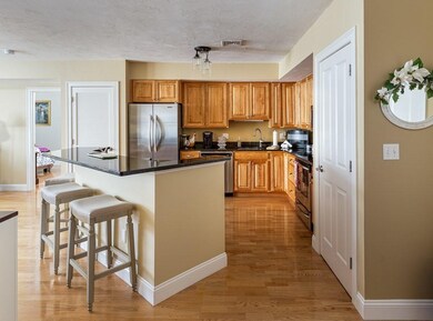 15 Summer St unit 108, Franklin, MA 02038 - photo 7