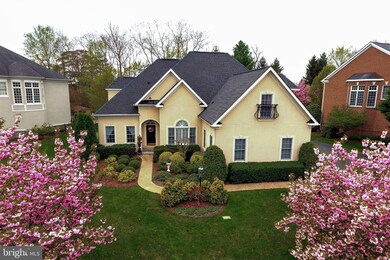 8236 Roxborough Loop, Gainesville, VA 20155 - photo 3