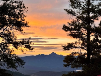 599 Pineview Rd, Pagosa Springs, CO 81147 - photo 2