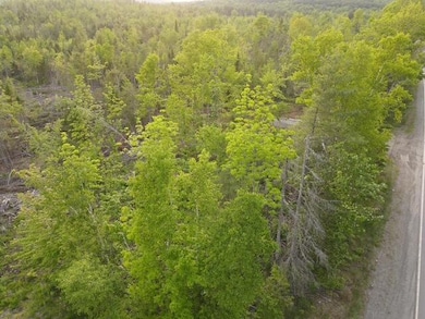 Lot 13 Parker Pond Rd, Sebec, ME 04481 - photo 6