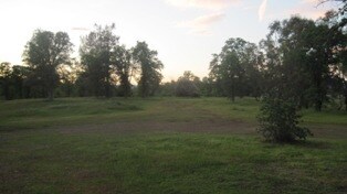 WilsonProperty (2)