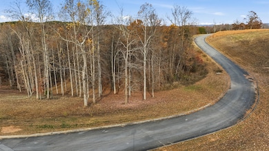 481 Hidden Forest Trail, Spring City, TN 37381 - photo 6