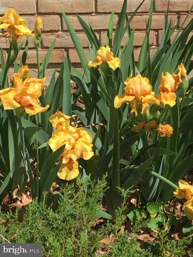 5155 Darting Bird Ln, Columbia, MD 21044 - photo 2