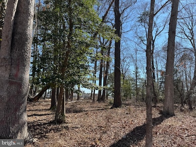 Lot 125 Main Sail Ct, Captains Cove, VA 23356 - photo 4