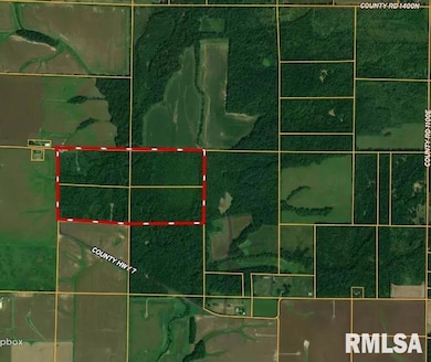 000 County Highway 7 County Rd, Cisne, IL 62823 - photo 3