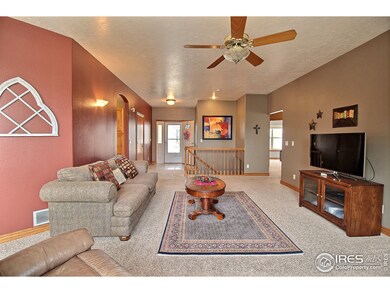 Absolutely Beautiful