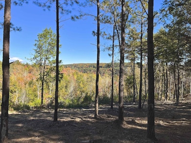 0 Worley Rd unit RTC2810083, Soddy-Daisy, TN 37379 - photo 6