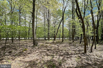Lot 100 Snowhaven, Mc Henry, MD 21541 - photo 3